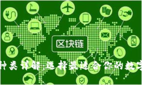 数字货币钱包种类详解：选择最适合你的数字资产存储方式