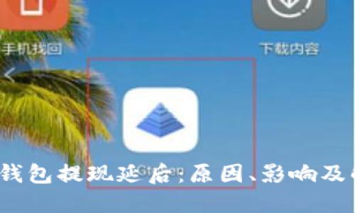  区块链钱包提现延后：原因、影响及解决方案