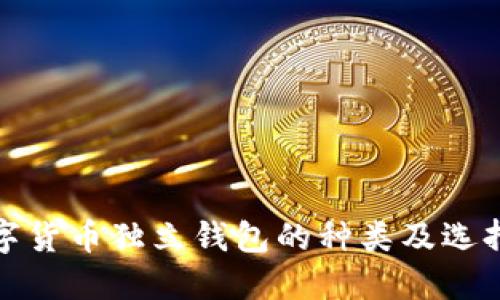 : 数字货币独立钱包的种类及选择指南