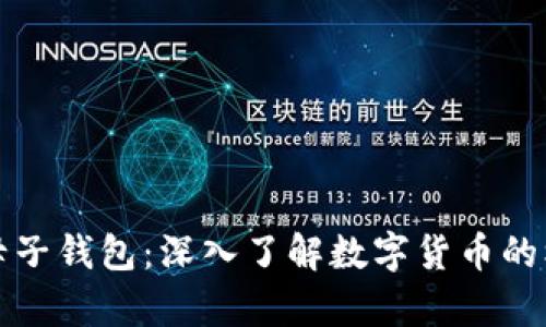 数字货币之母子钱包：深入了解数字货币的核心存储方式