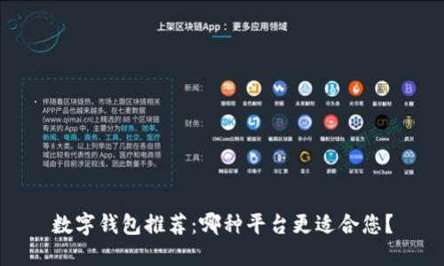 数字钱包推荐：哪种平台更适合您？