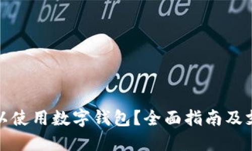 在哪里可以使用数字钱包？全面指南及支持的地方