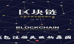 数字货币钱包注册失败的原因与解决方案