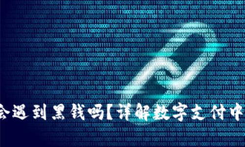 988pay钱包会遇到黑钱吗？详解数字支付中的风险与防范