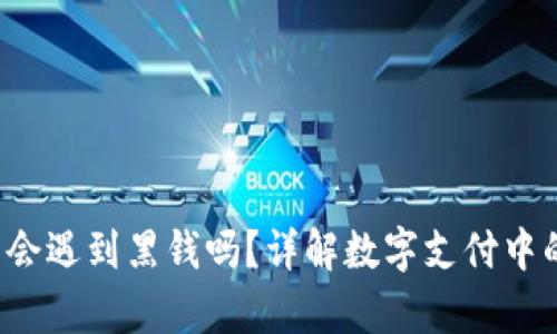 988pay钱包会遇到黑钱吗？详解数字支付中的风险与防范