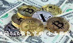 如何安全访问BSC钱包官网：全面指南与注意事项