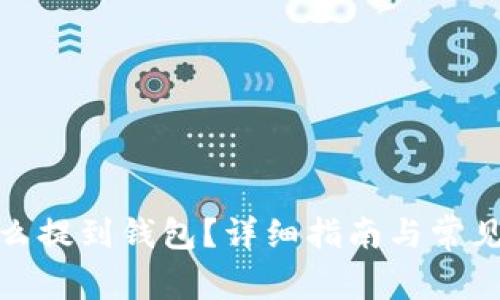 数字币怎么提到钱包？详细指南与常见问题解答