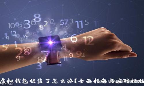   
虚拟钱包被盗了怎么办？全面指南与应对措施