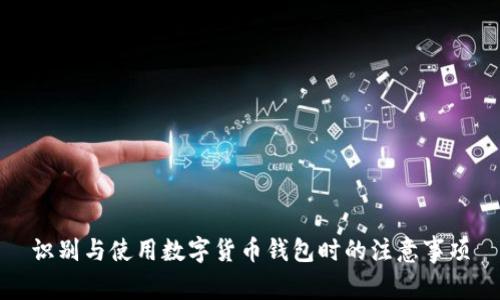 识别与使用数字货币钱包时的注意事项