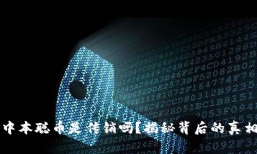 中本聪币是传销吗？揭秘背后的真相