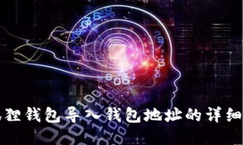 小狐狸钱包导入钱包地址的详细指南