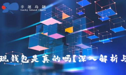虚拟币提现钱包是真的吗？深入解析与风险提示