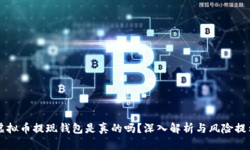 虚拟币提现钱包是真的吗？深入解析与风险提示
