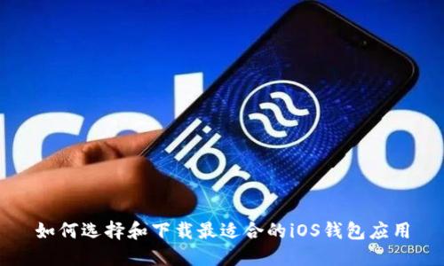 如何选择和下载最适合的iOS钱包应用