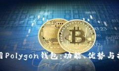 如何使用Polygon钱包：功能、优势与操作指南