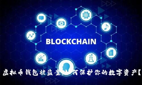 虚拟币钱包被盗案：如何保护你的数字资产？