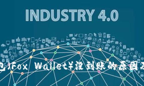 小狐狸钱包（Fox Wallet）没到账的原因及解决方案