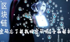 小狐狸钱包密码忘了能找回密码吗？全面解析与