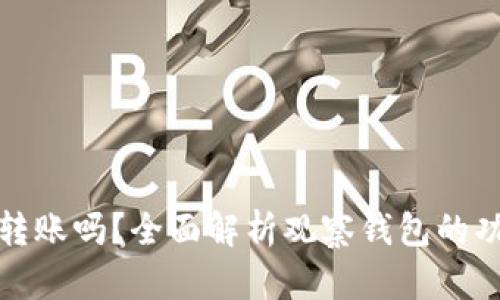 观察钱包可以转账吗？全面解析观察钱包的功能与使用技巧