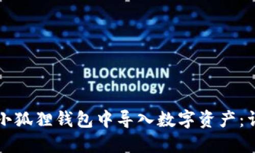 如何在小狐狸钱包中导入数字资产：详细指南