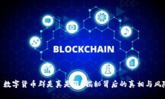 : 数字货币群是真是假？揭秘背后的真相与风险