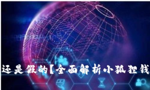 小狐狸钱包是真的吗还是假的？全面解析小狐狸钱包的安全性与可信度