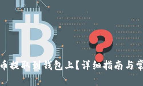 如何将虚拟币提取到钱包上？详细指南与常见问题解答