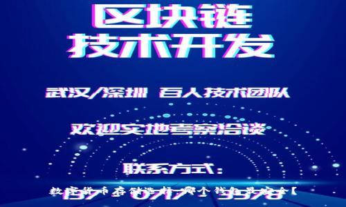 数字货币存储选择：哪个钱包最安全？