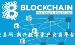 BitOffer交易所：新兴数字资产交易平台的全景解析