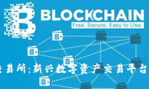 BitOffer交易所：新兴数字资产交易平台的全景解析