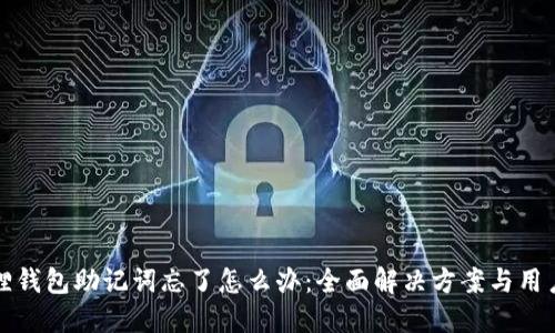 小狐狸钱包助记词忘了怎么办：全面解决方案与用户指南