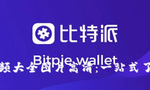 小狐狸钱包视频大全图片高清：一站式了解与使用指南