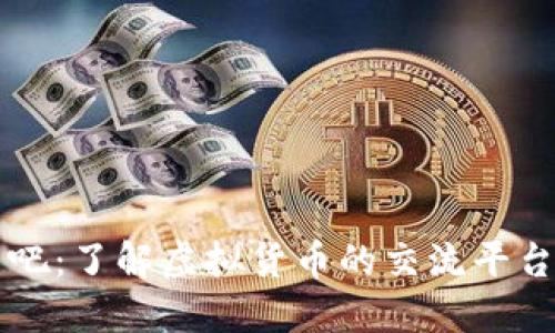虚拟币吧：了解虚拟货币的交流平台与社区
