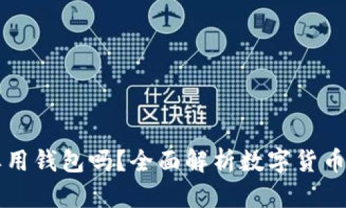 虚拟币有必要用钱包吗？全面解析数字货币安全性与管理