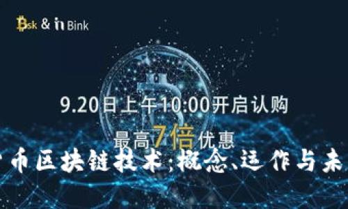数字货币区块链技术：概念、运作与未来展望