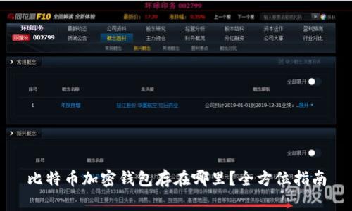比特币加密钱包存在哪里？全方位指南