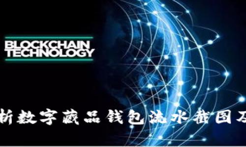 全面解析数字藏品钱包流水截图及其应用