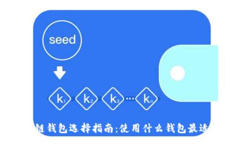 区块链钱包选择指南：使用什么钱包最适合您？