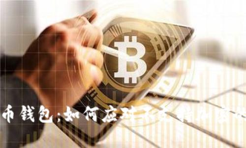 比特币钱包：如何应对不支持加密的现象