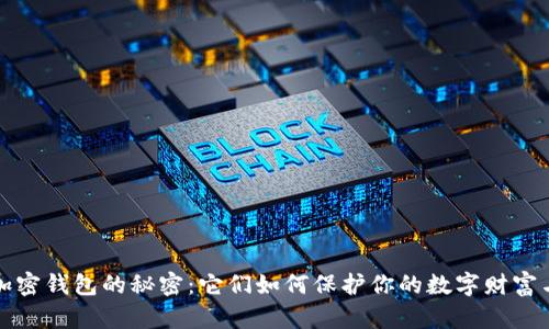 揭开加密钱包的秘密：它们如何保护你的数字财富与隐私