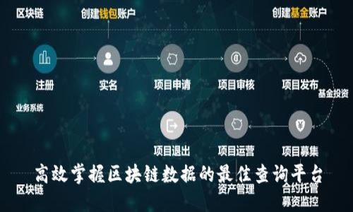 高效掌握区块链数据的最佳查询平台