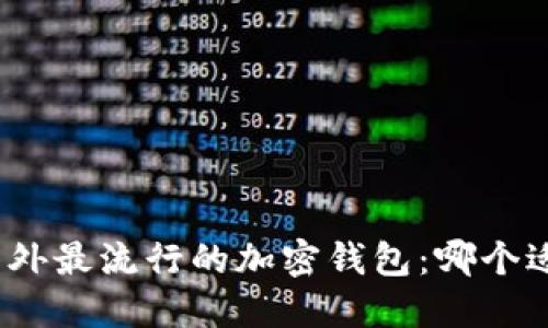 探索国外最流行的加密钱包：哪个适合你？
