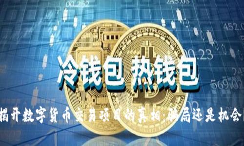 揭开数字货币交易项目的真相：骗局还是机会？