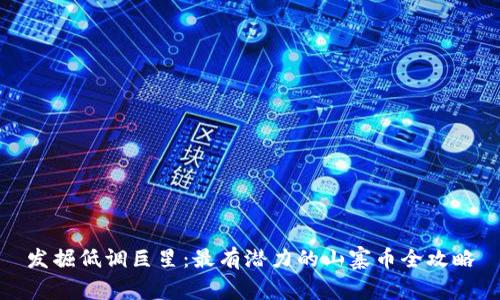 发掘低调巨星：最有潜力的山寨币全攻略