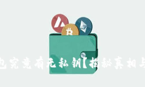 硬件钱包究竟有无私钥？揭秘真相与安全性