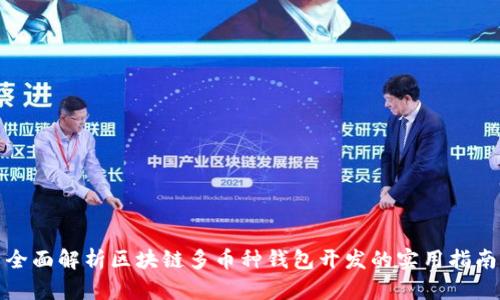 全面解析区块链多币种钱包开发的实用指南