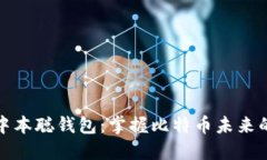 揭秘中本聪钱包：掌握比特币未来的钥匙
