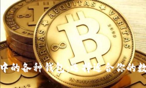探秘区块链世界中的各种钱包：选择适合你的数字资产管理工具