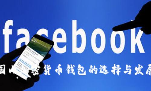 探索国内加密货币钱包的选择与发展趋势