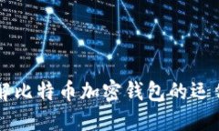 深入了解比特币加密钱包的运作与分类